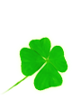 길일/길월 사주잘보는곳